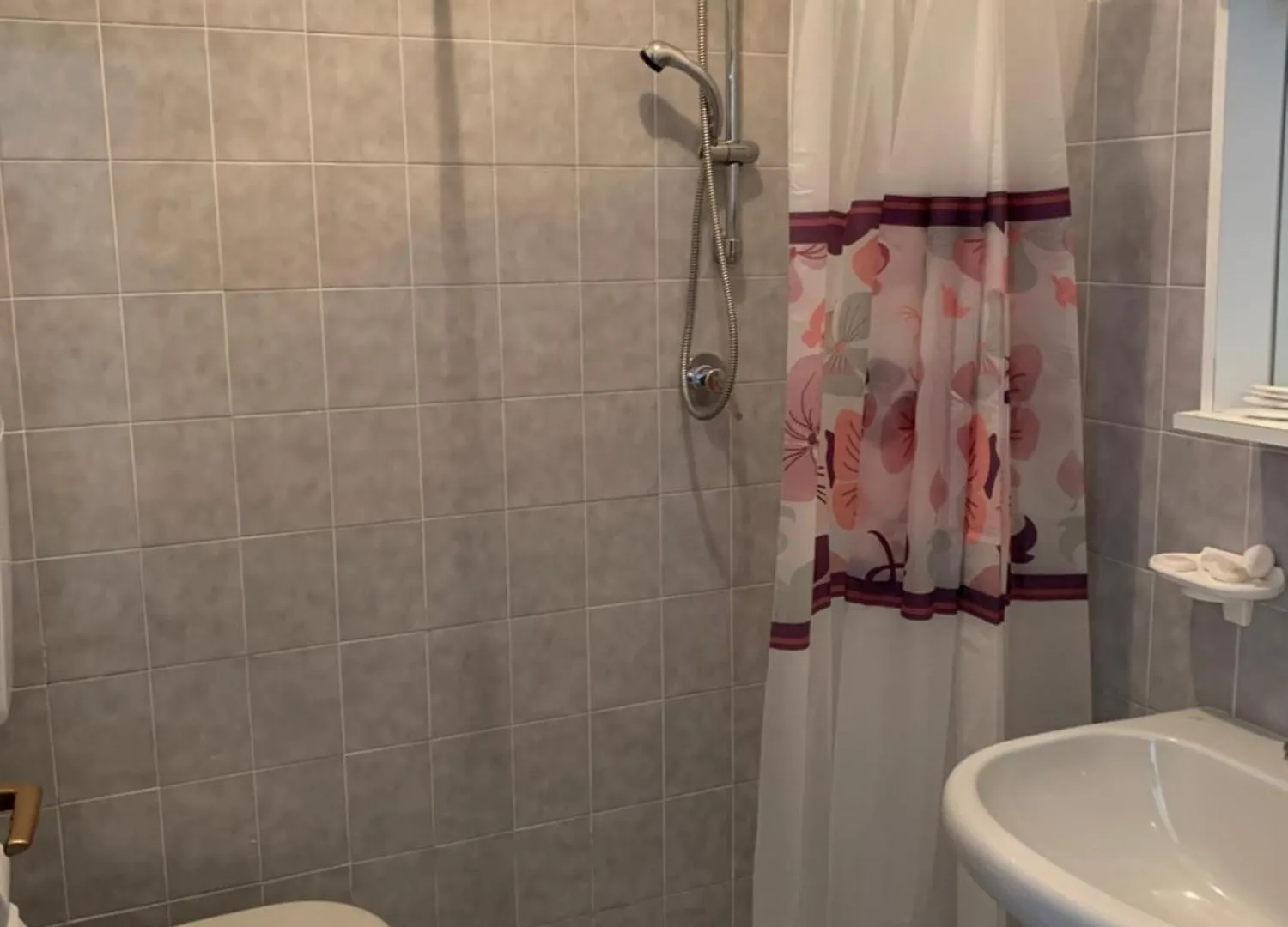 Hotel Edelweiss San Zeno di Montagna 2*,